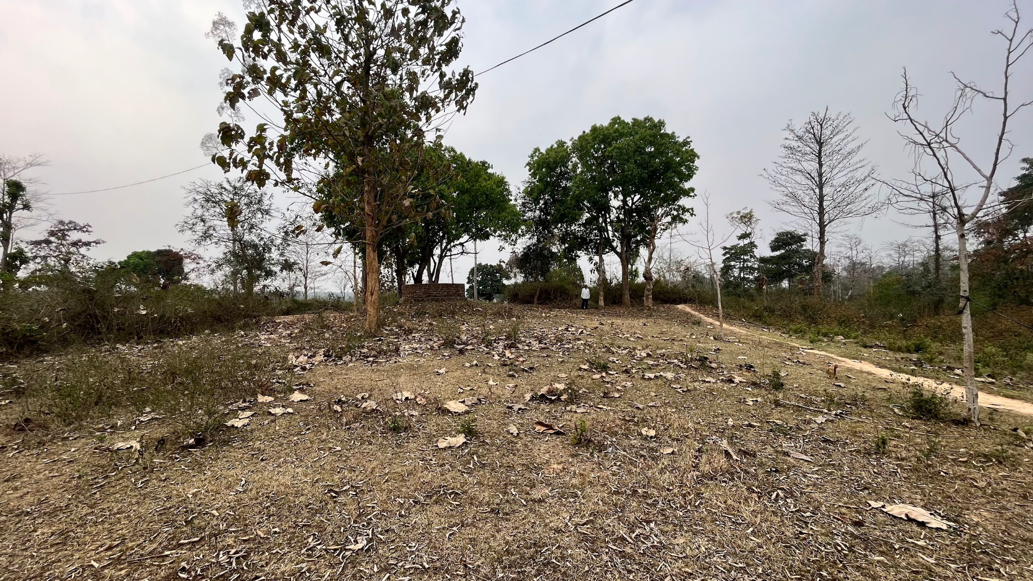 School site land view